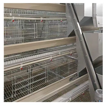 3 Tiers 96 Chickens A Type Poultry Farm Galvanized Chicken Battery Breeding Cages Chicken Layer Cage For Sale