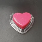 Pvc Tray Blister Pvc Tray Custom Blister Plastic PVC Cards Wax Melt Packaging Container Tray