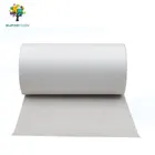 Rpet Woven Fabric High Quality Rpet Mesh Non Woven Recycled Polyester Rpet Lining Fabric