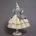 Children Children OA OEM Girls Cake Design Party Gown Kids Princess Fancy Dress Children Baby Girl Flower Applique Tutu