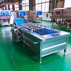 East To Use Avocado Washing Machine / Strawberry Kumquat Apple Cleaning Machine