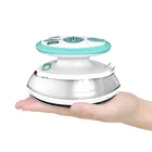 Iron Steam Iron Dual Voltage Small Mini Travel Steam Iron For Travel