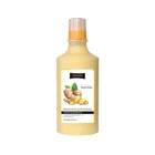 Treated Care Shampoo Companies Wholesale Ginger Extracts Treated Hair Care Anti Loss Organic Hair Growth Shampoo