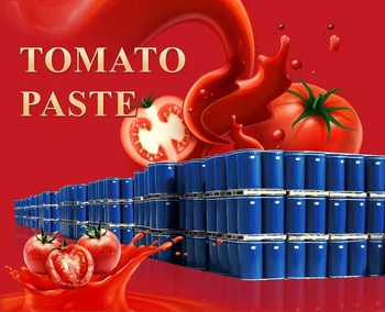 Wholesale Tomato Paste Price Tomato paste in drum Good Quality Bucket of tomato sauce 245 kg per barrel