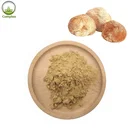 Pure Natural Lions Mane Mushroom Powder For Gummies In 1kg Pack