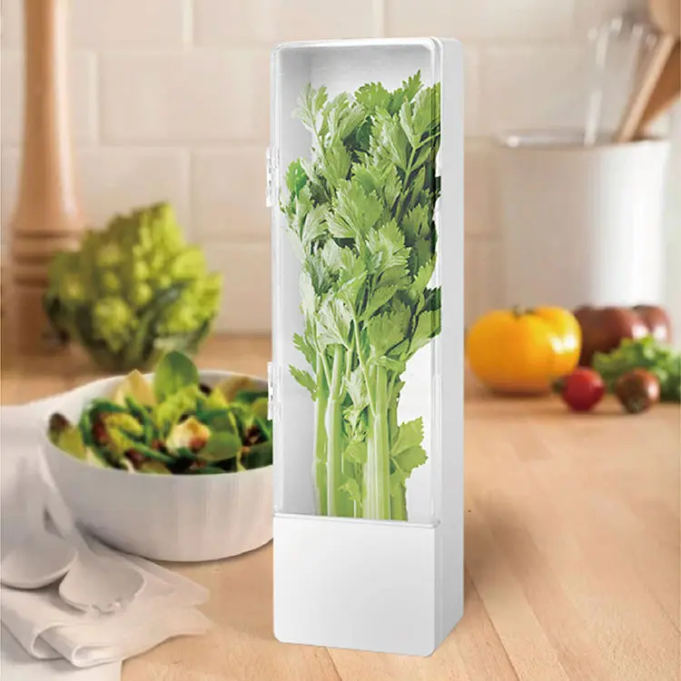 Top Seller Herb Savor Transparent Freshness Keeper Storage Container Hot Selling Refrigerator Saver for Kitchen Spice Tool