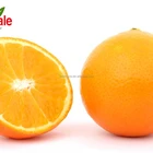 Orange Oranges Montale Factory Sale Navel Orange Sweet Juicy Honey Oranges Fresh Oranges