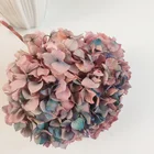 Color Wedding Two-tone Color Big Leaf Hydrangea For Wedding Decoration