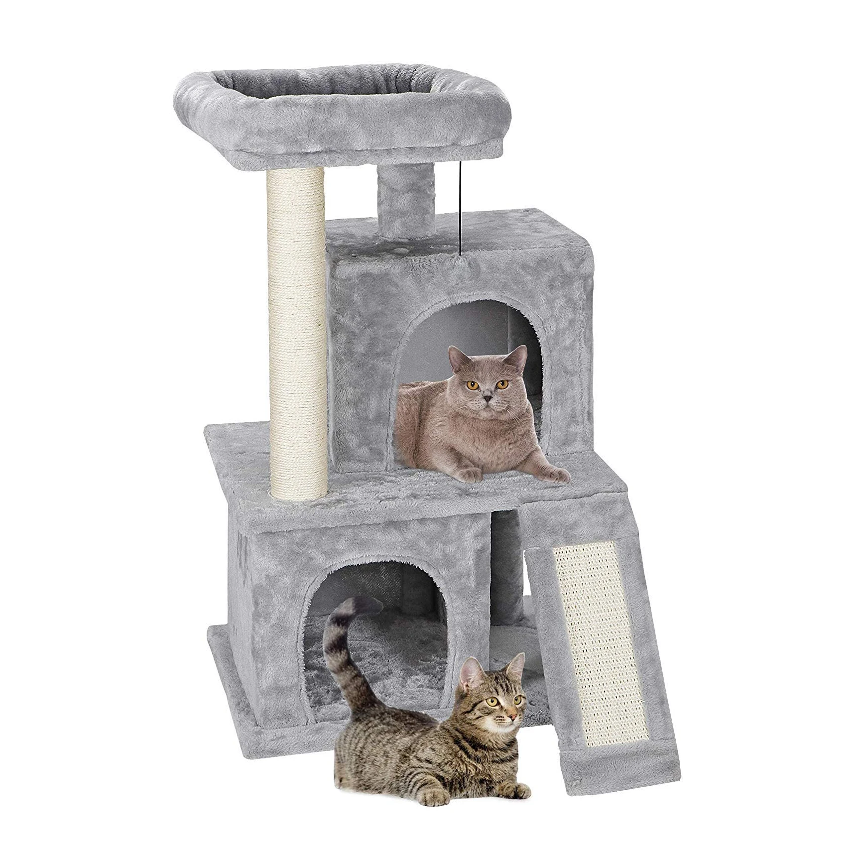 cat play climbing frame