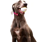 Ball 2021 New Design Popcorn-like Dog Tennis Ball Funny Dog Chews Toy Puzzle Dog Toy
