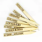 Botanical Name Cutout Label Waterproof Pointed Wooden Plant Sign Tags Eco-friendly Garden Markers
