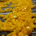 Canned Peach Manufacturers Hot Selling Chile 820g Canned Yellow Peach Dices In Heavy Syrup