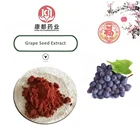 Factory Directly Supply Grape Seed Extract Powder -- Proanthocyanidin 95%