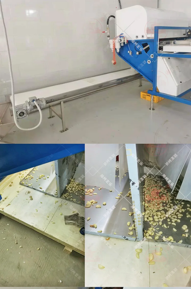 Cardamom Colour Sorting Machine Belt Olive Chilies Optical Bean Color Sorter Machine for Minerals factory