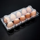 Egg Tray Wholesale Disposable Pet Transparent Plastic Egg Tray With 10 Cells