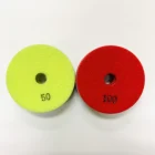 Diamond Pads Professional Diamond 4 Inch 100mm Wet Tile Ceramic Polishing Pads