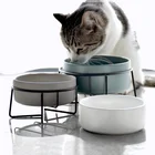 Ceramic Bowl Professional Manufacturer Ceramic Pet Bowl Ceramic Cat Bowl