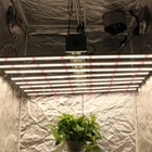 Led Spectrum Led 2021 China UV IR Far Red Sanbead Full Spectrum Plant Grow LED
