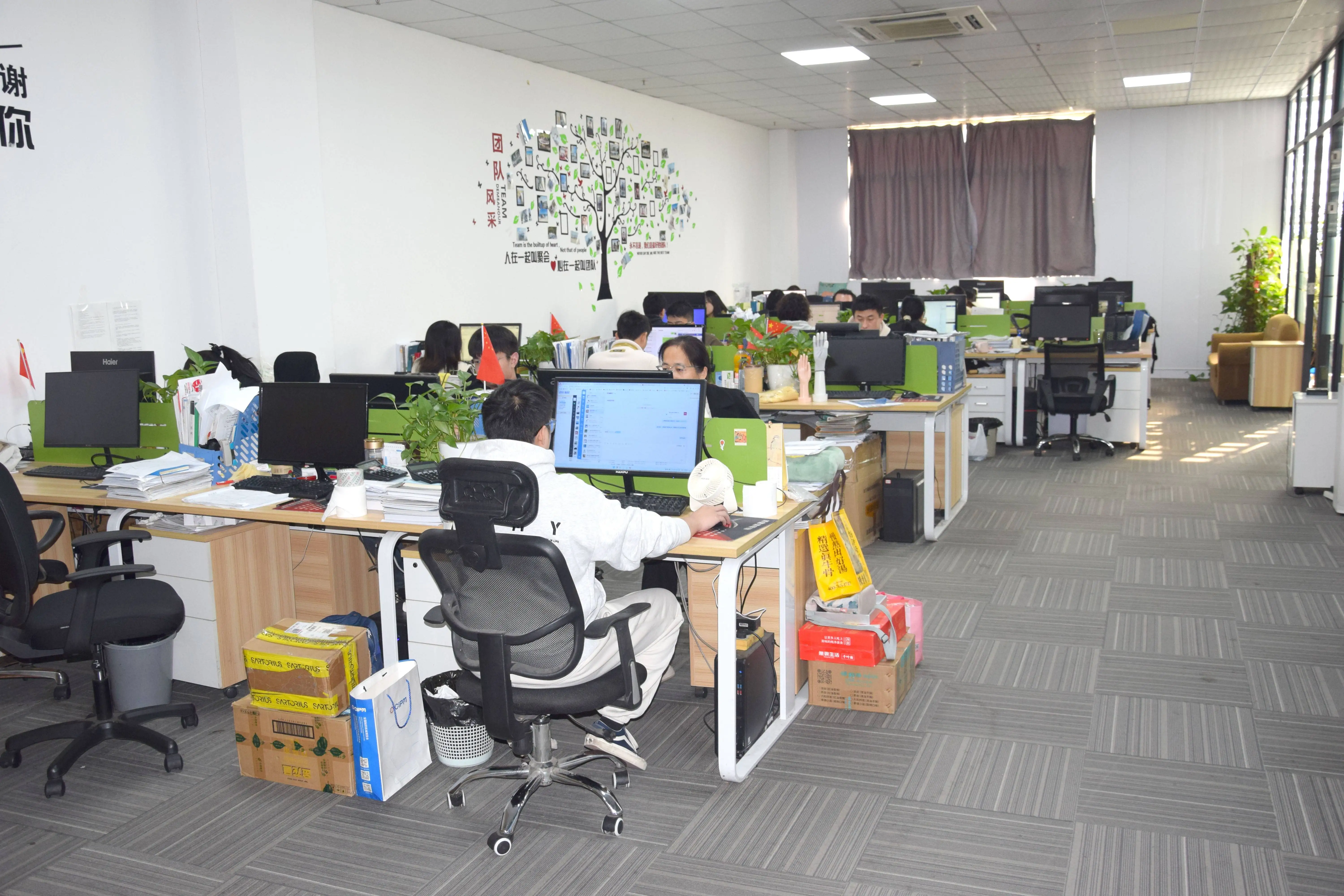 Anti-static Shawl Hood with Dustproof and Breathable Design for Food Processing and Cleanroom Use