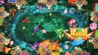 Game Fish Game Machine 2021 Customize 8 Player Lion Fishing Game Table Machine