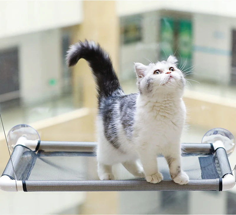 suction cat hammock