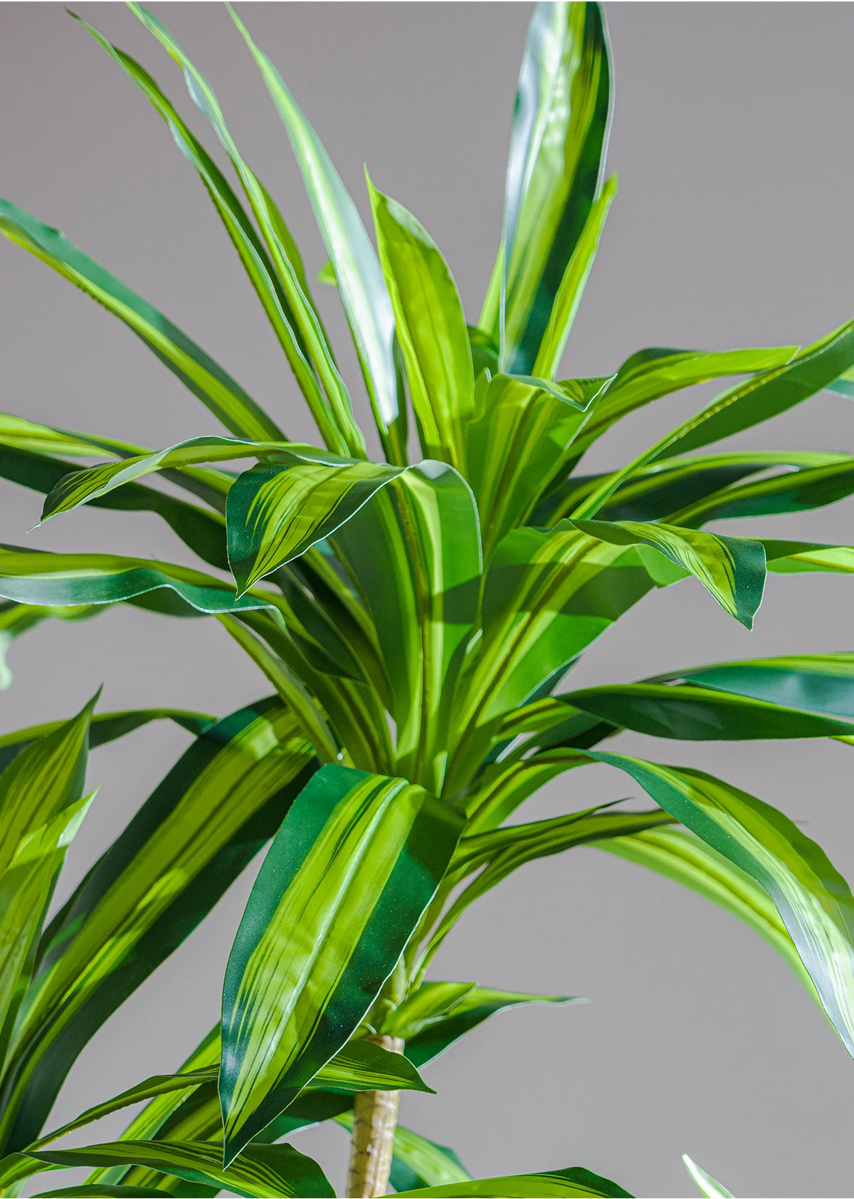 Artificial Simulated Dracaena Fragrans Plastic Decorative Green Tree for Home or Office Pot Decorative Christmas Garden Greenery details