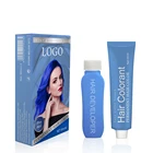 Hair Color Wholesale Nature Professional Private Label PPD Free And Ammonia Free Permanent Hair Dye Color Cream