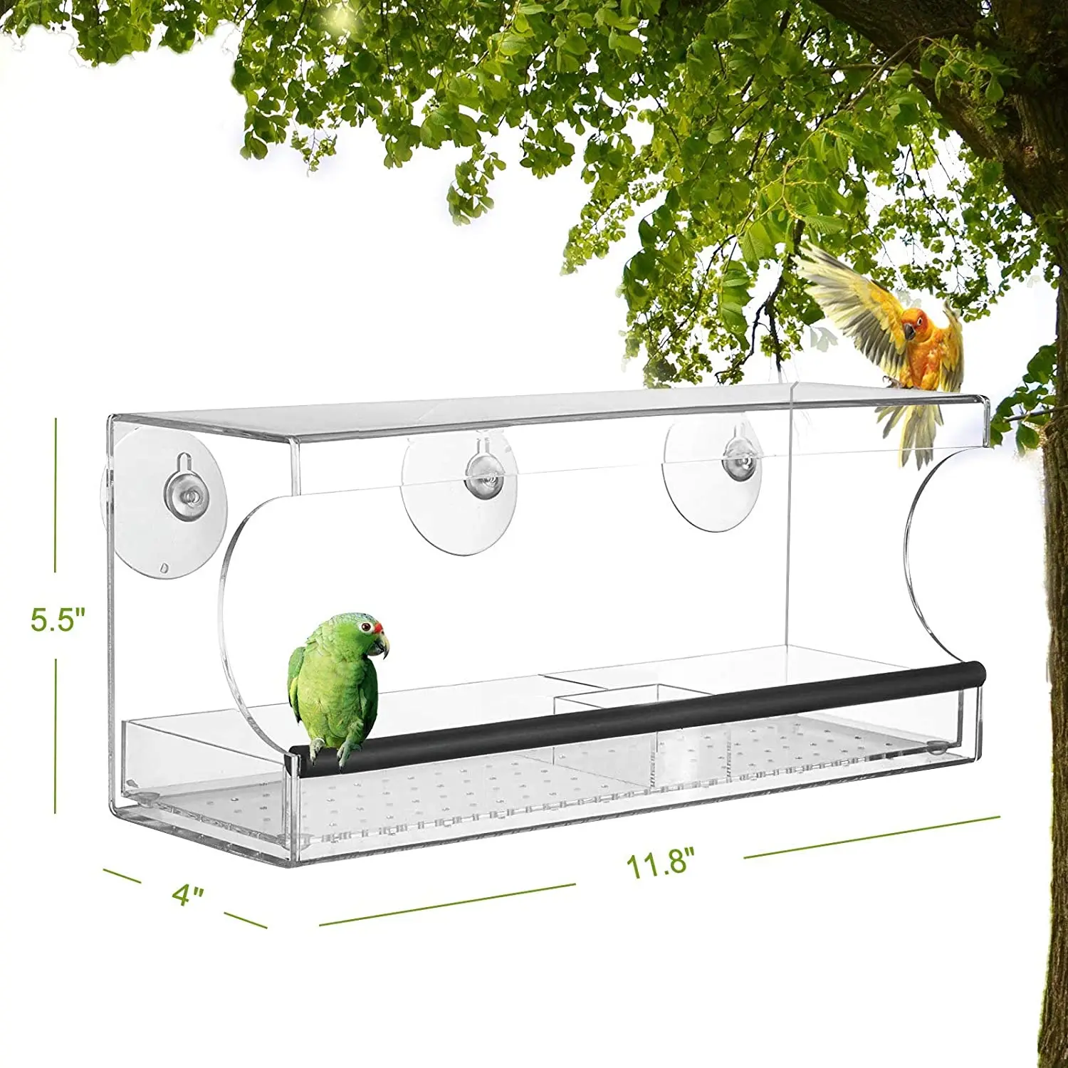 Window Bird Feeder with Strong Suction Cups and Seed Tray With 3 Extra Suction 