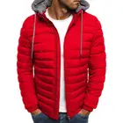 Hood 2021 Hot Sale New Arrive Men's Wind Resistant Puffy Bomber With Hood Zipper Closure Polyester Coat