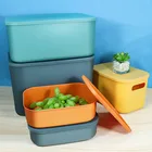 Professional Professional Custom Color Plastic Pp Storage Box With Stacked Function
