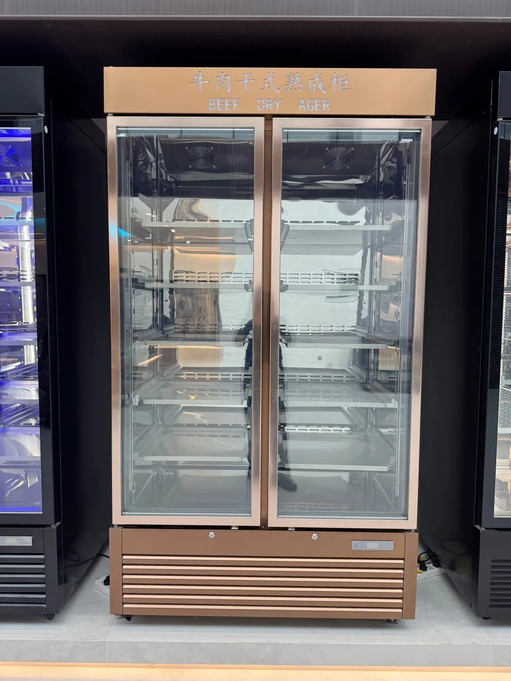 Saving Stainless Steel Freezer, 220 V - detail 54