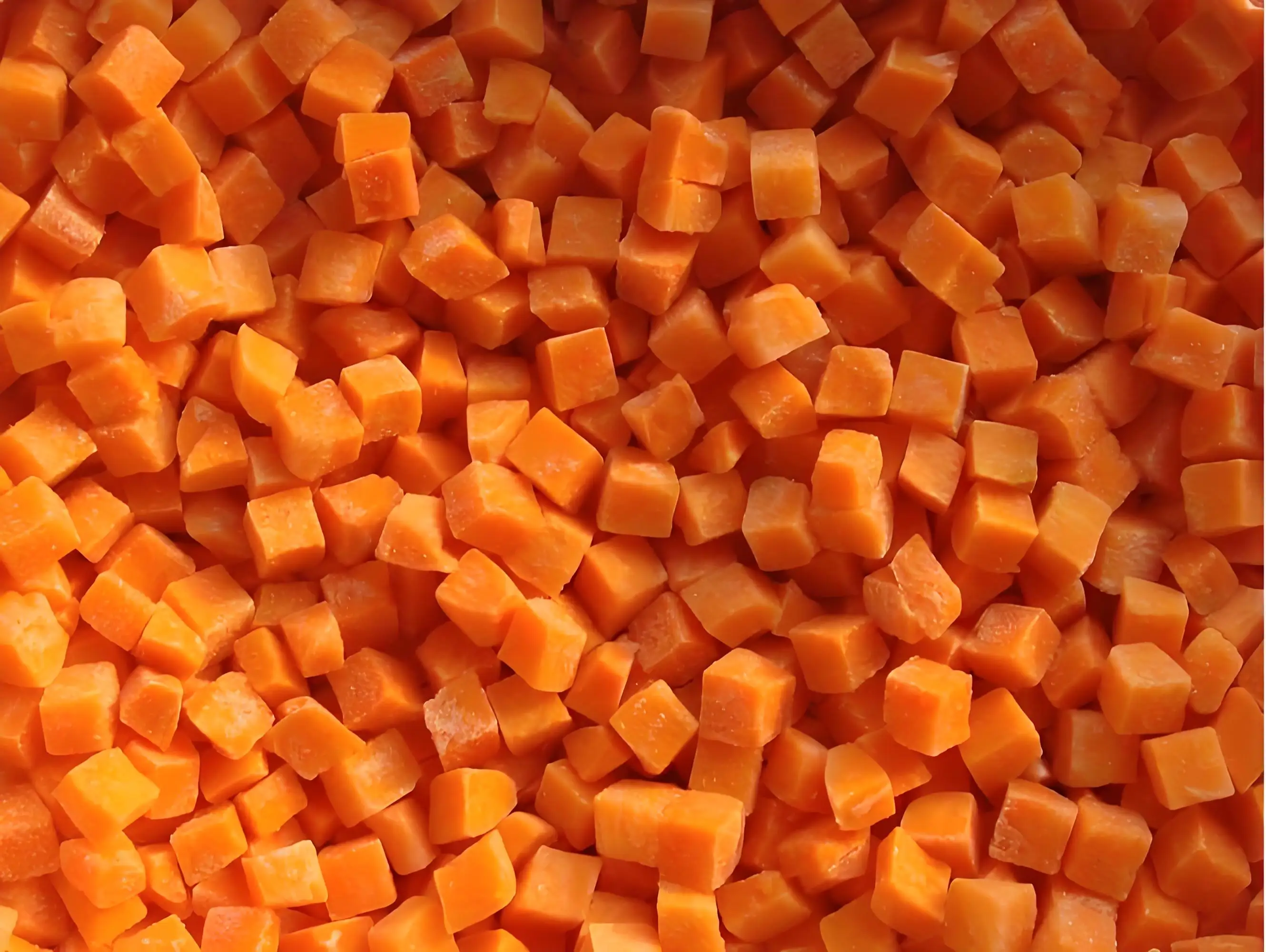 IQF FROZEN CARROT SLICES Frozen Carrot Granules details