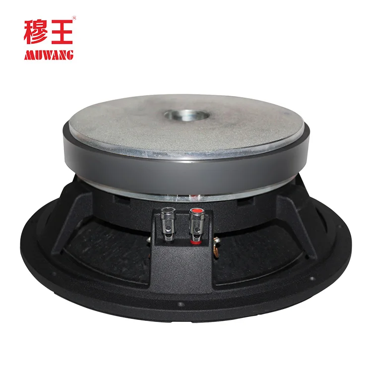 Oem Odm Loudspeaker 12inch Speakers 