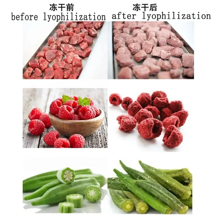 GS drone pupa powder meat/fruit/vegetable 50 kg per batch freeze-drying machine 18 H71463379fcf6409483731de60a132e5dh GS drone pupa powder meat/fruit/vegetable 50 kg per batch freeze-drying machine