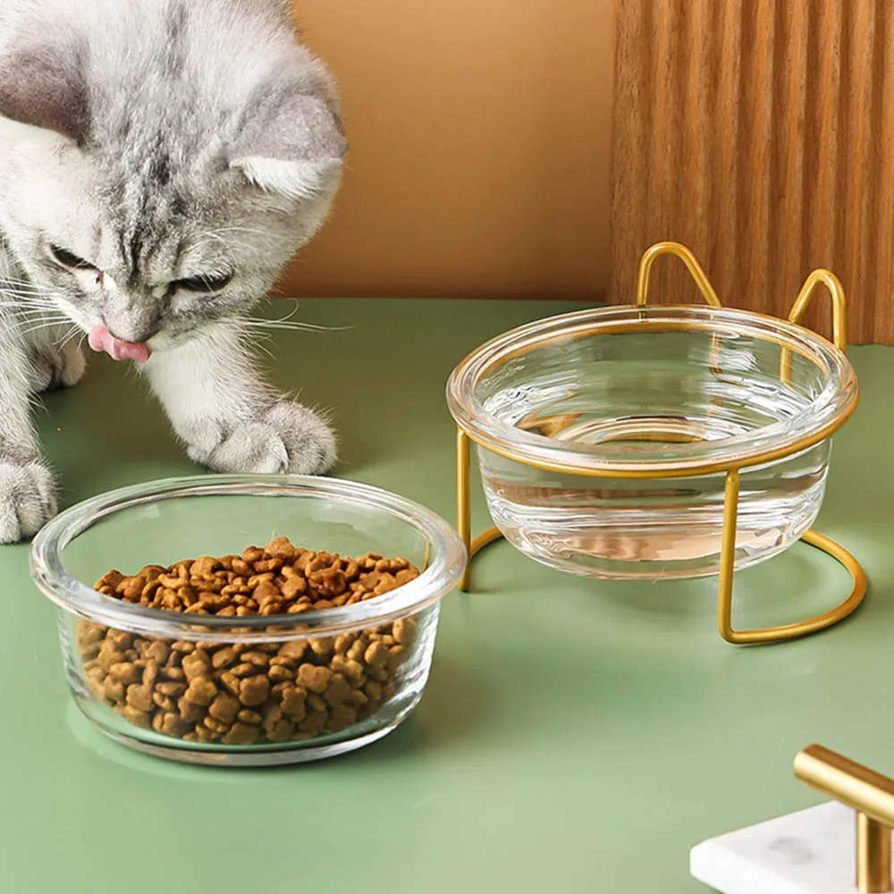 strong material sustainable glass cat bowls