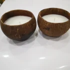 Sell Shell 2021 Hot Sell Candle Coconut Shell