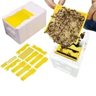 Queen Breeding Rearing Box Bee Mating Nucs Hive Foam Queen King Pollination Box