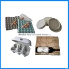 Plate Line Paper Plate Molds Forming Machines Moulded Apple Tray Egg Tray Machine With Drying Line Manufacturer