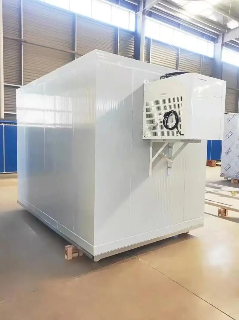 Sell Well Walk-in Freezer, Aluminum Alloy, Cold Storage Door - detail 14