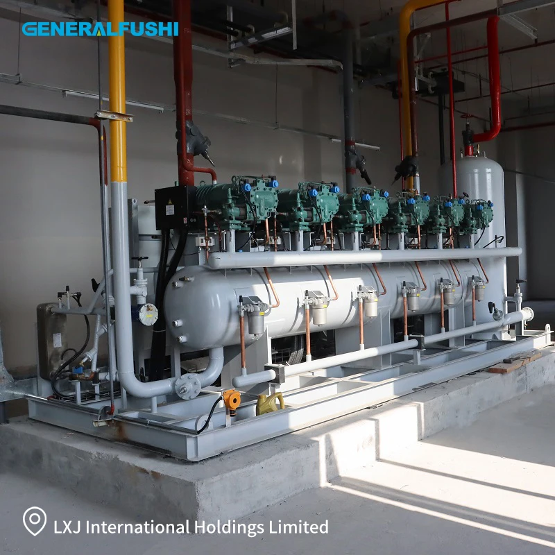 Screw Compressor, GENERALFUSHI, R404A, Compressor rack - detail 20