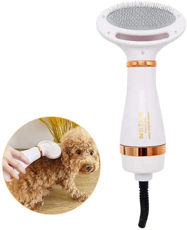 Secador De Pelo Canino Online Store, UP TO 53% OFF |  www.editorialelpirata.com