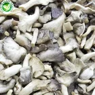 Dried Fried Chips Fried Wholesale Crisp Dried Vacuum Fried Oyster Mushroom Chips