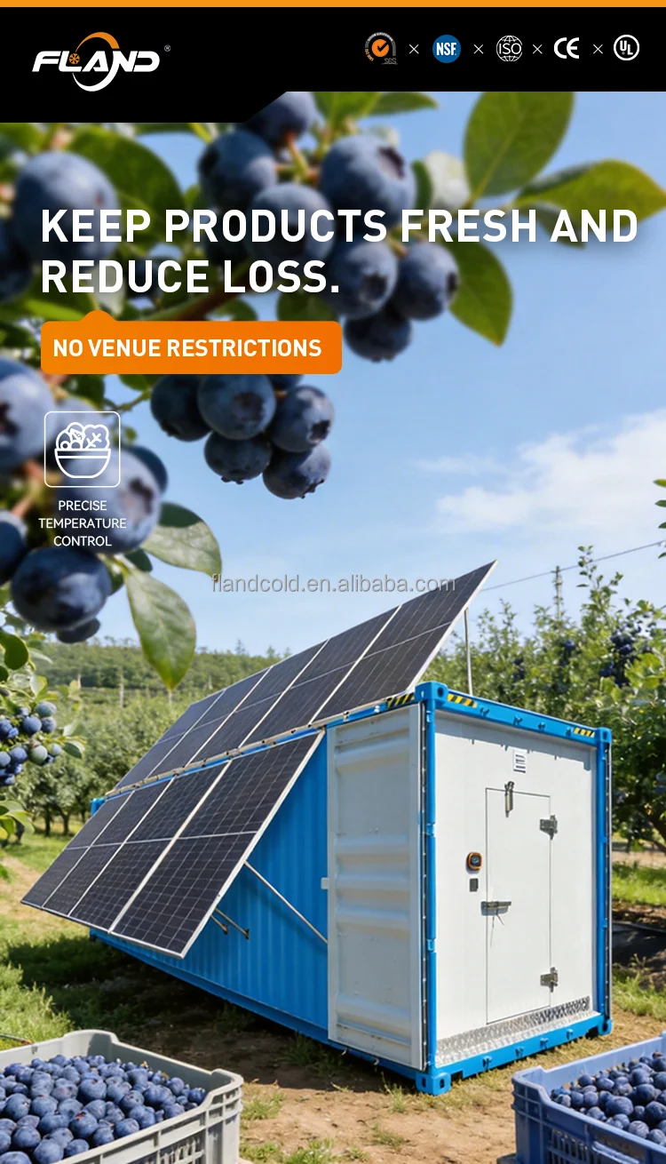 Freezer, 20FT, 40HQ, Solar - detail 8