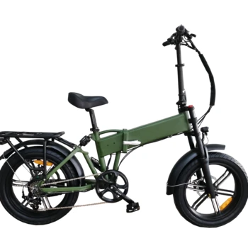 paselec folding bike review