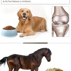 Animal Chondroitin Sulfate Solution Price Animal Injection Chondroitin Sulfate Solution