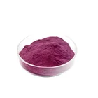 Blueberry Factory Supply Blueberry Extract Powder Instant Water Soluble Freeze Dried Blueberry Powder