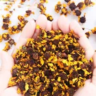 Chrysanthemum Chrysanthemum Xinjiang Kunlun Mountain Natural Flower Xueju Snow Chrysanthemum