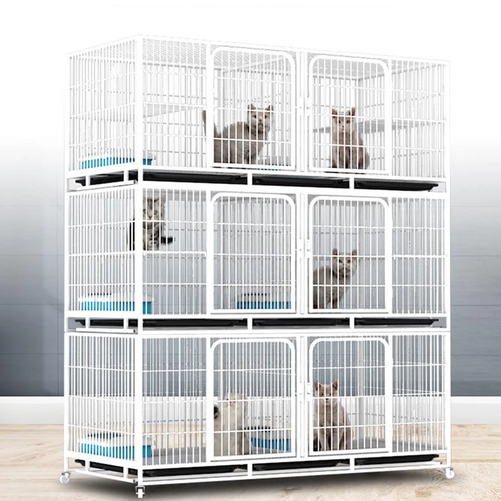 Galvanized square tube cat cage