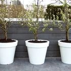 Pots Light Up Outdoor Planters Outdoor Glow In The Dark Illuminated Lighted Plant Planters Flower Pots