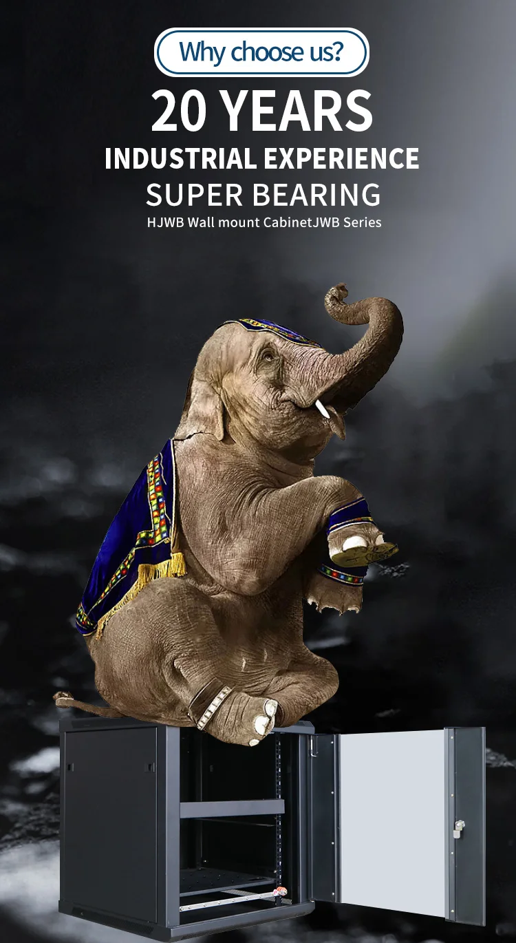 Server Rack Standard 19 Inch Mount Rack Network Cabinet With Steel Mesh Door(图2)